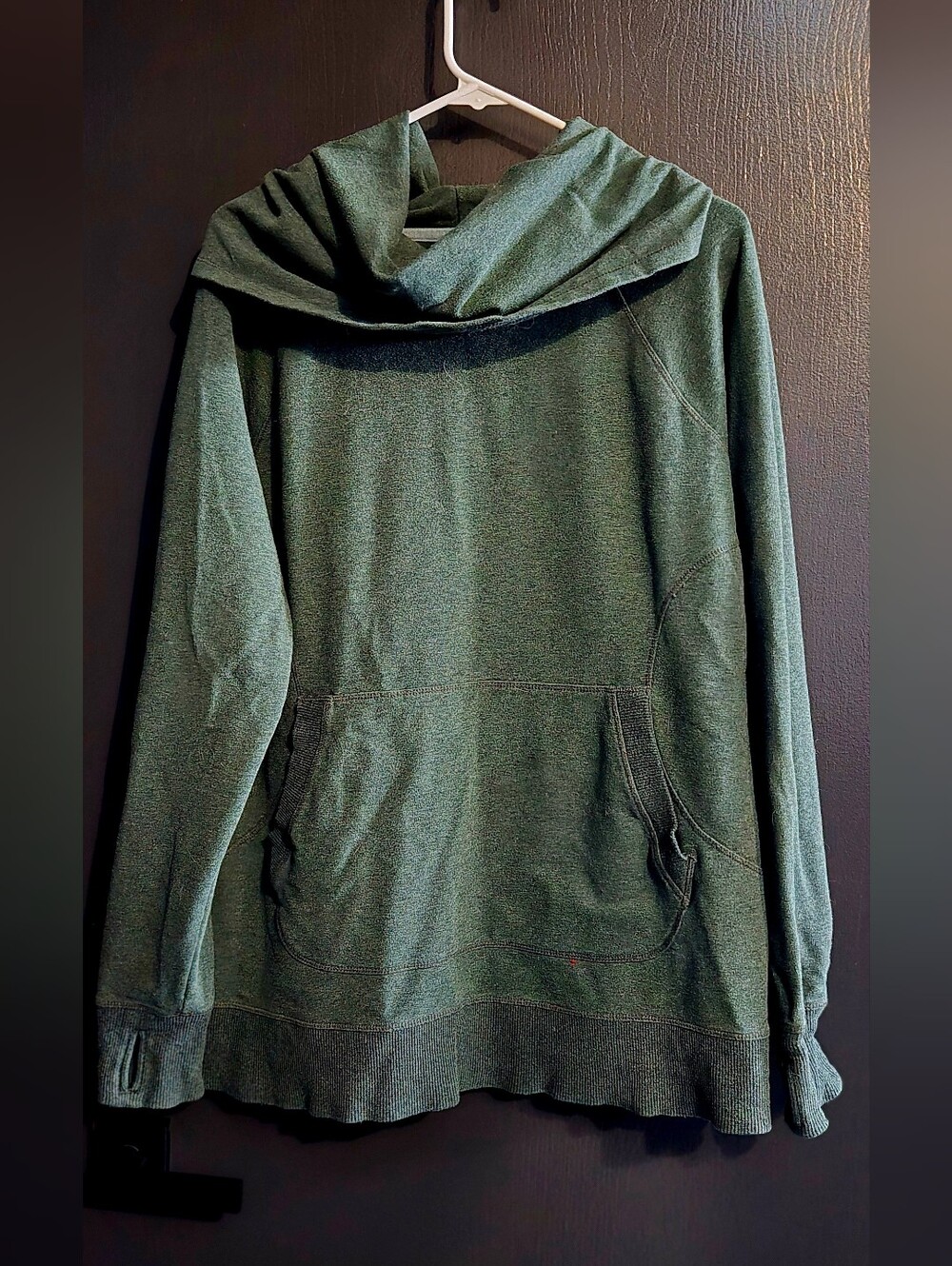 L.L. Bean Women's L TALL Cozy Pullover Sweater Fleece Cowl Neck/Thumb Holes